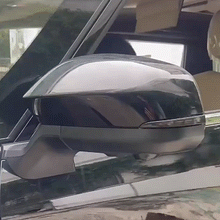 Tacoma/4Runner Side View Mirror Turn Signal Replacement Kit Sequential Dynamic Indicator Strip with Dragon-Scale Style 2.0